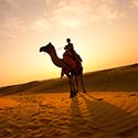 desert safari abu dahbi